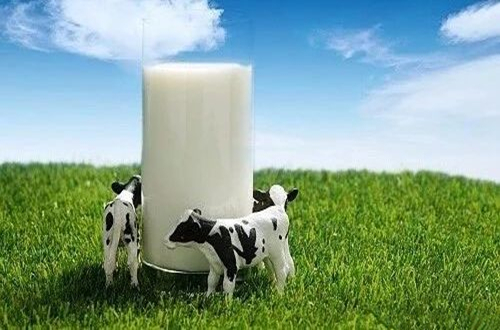 牛初乳是什么？有什么作用？中国十大牛初乳品牌排行榜一览