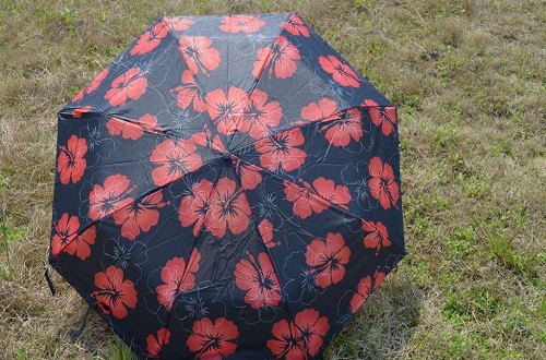 中国晴雨伞什么牌子比较好，晴雨伞十大品牌排名