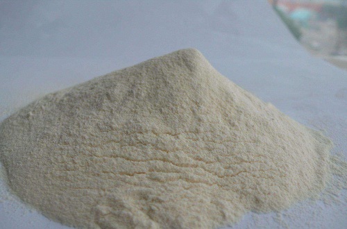 世界知名的蛋白粉品牌有哪些，蛋白粉选什么牌子好