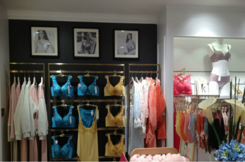 一线内衣十大品牌，哪种品牌的内衣最流行？