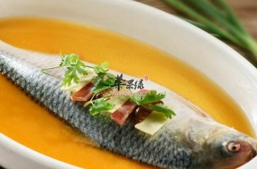 鲥鱼的做法有哪些 鲥鱼怎么做营养好吃
