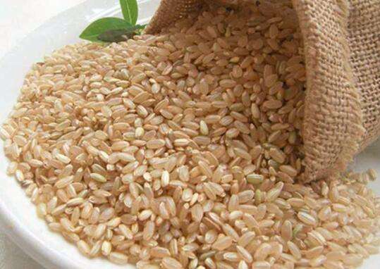 糙米的营养价值有哪些 糙米如何储存