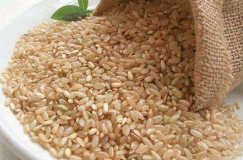 糙米的营养价值有哪些 糙米如何储存