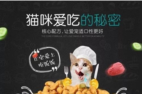 什么猫粮比较好 高蛋白的原本猫粮获好评