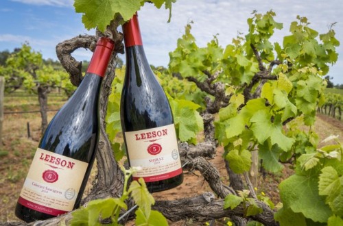 雷盛红酒丨“风土”，是如何影响葡萄酒的？