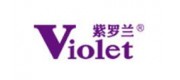 Violet紫罗兰