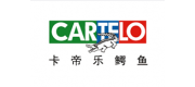 CARTELO卡帝乐鳄鱼