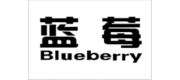 蓝莓品牌