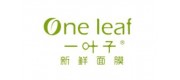 Oneleaf一叶子