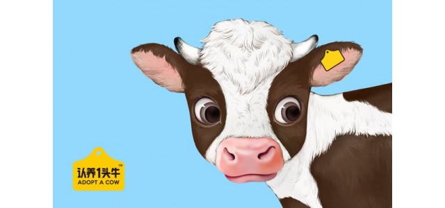 牛奶品牌设计的主要内容有哪些？