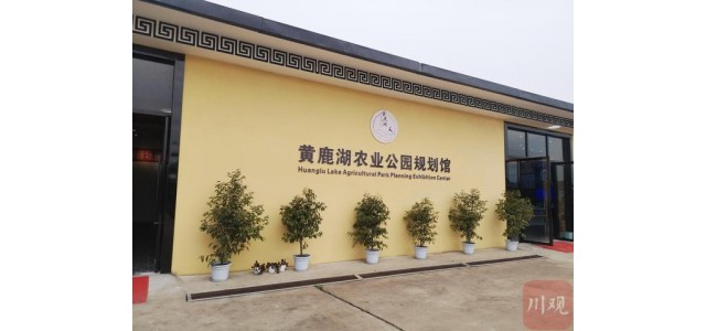 打造一个区域性的农产品公共品牌，能给这个小镇带来什么？