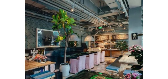 我们能从新消费品牌野兽派身上学到什么？