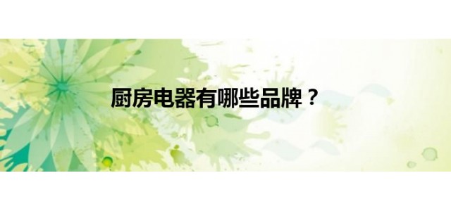 厨房电器有哪些品牌？