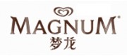 MAGNUM梦龙品牌