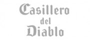 Casillero del diablo品牌