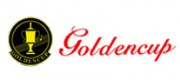 金杯乐器Goldencup