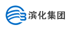 滨化品牌