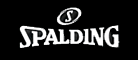 Spalding斯伯丁品牌