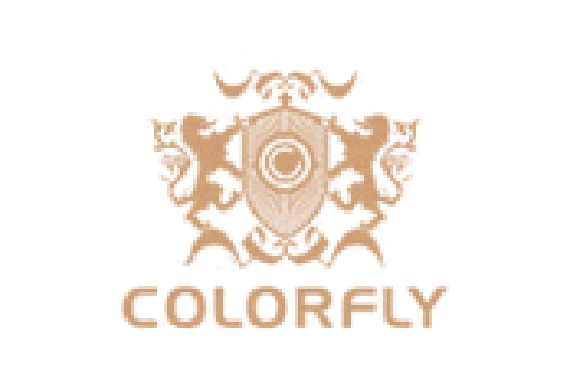 Colorfly品牌